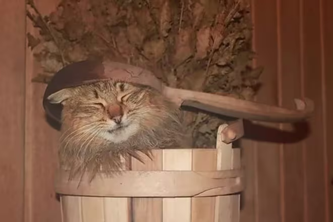 Баня мем